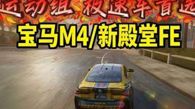 宝马M4、保时捷FE测评