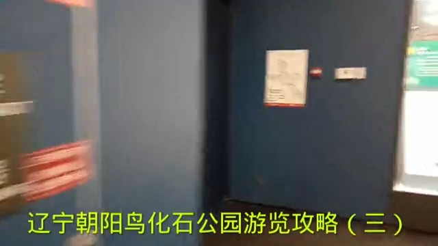 辽宁朝阳鸟化石公园游览攻略（三）