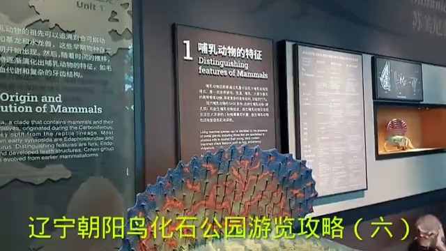 辽宁朝阳鸟化石公园游览攻略（六）