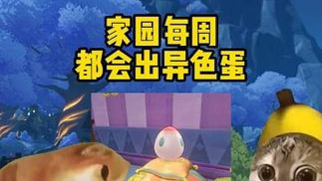 你玩洛克的运气
