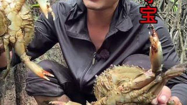斯里兰卡荒野寻宝