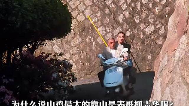 古惑仔人物讲解之柯志华，是山鸡的贵人？还是充满算计？