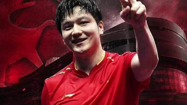 樊振东在国内受的委屈，德国人一笔一笔替他讨了回来