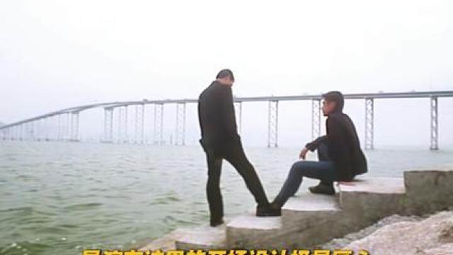 深度解析《友情岁月之山鸡故事》-山鸡的童年时光