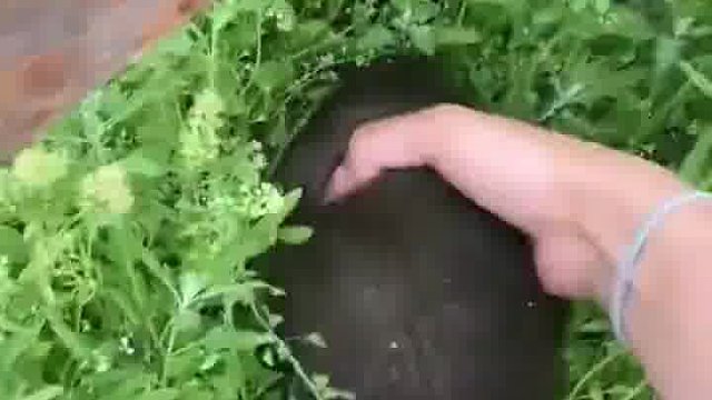 小熊：我妈就在附近，我希望你的妈妈也在  -