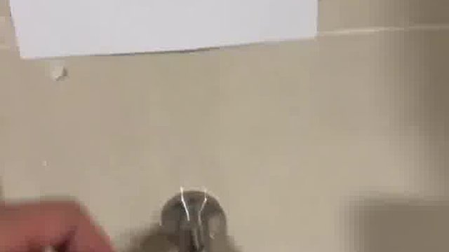 这仨估计就金毛有这智力  -