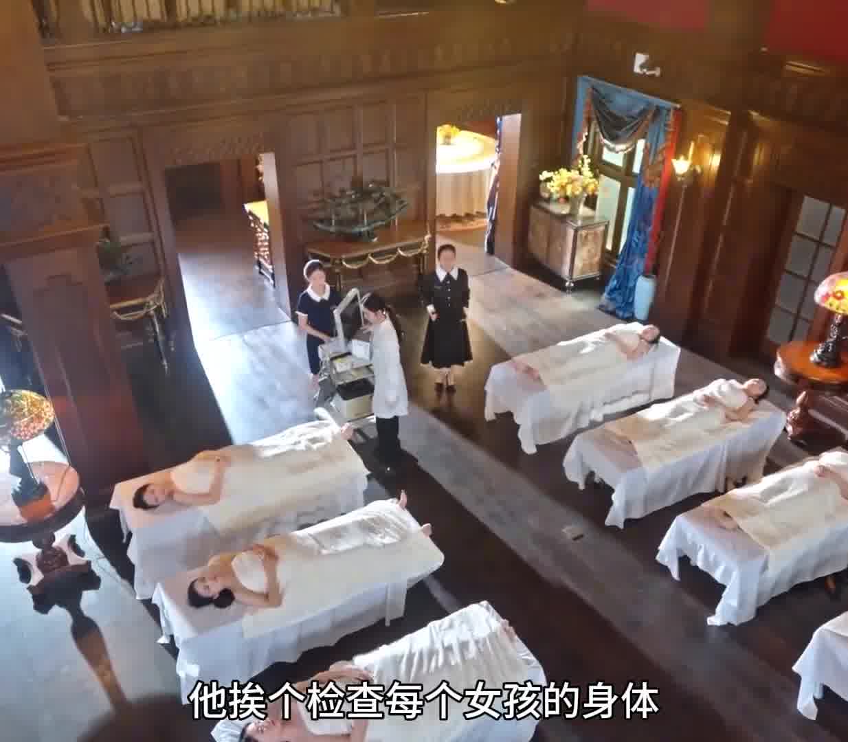 庄园保姆成了全家白月光