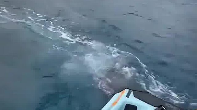 大海就是被你们这种人搞得又咸又苦