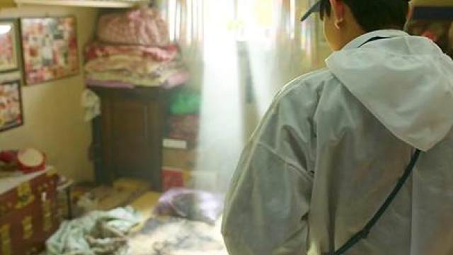 每一个小故事我们都能找到共鸣，平凡的日子里处处隐藏着治愈