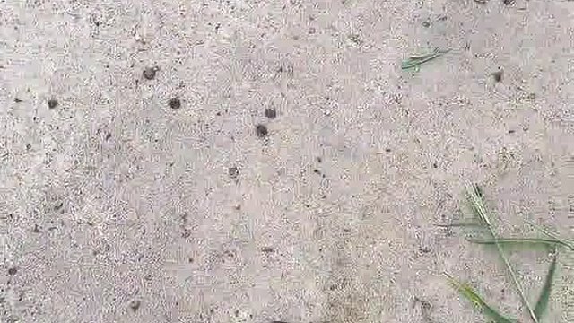 看路啊真的是