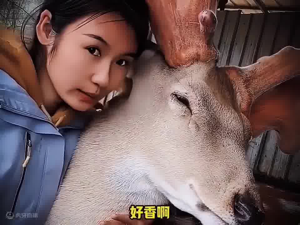 这鹿都要吐了