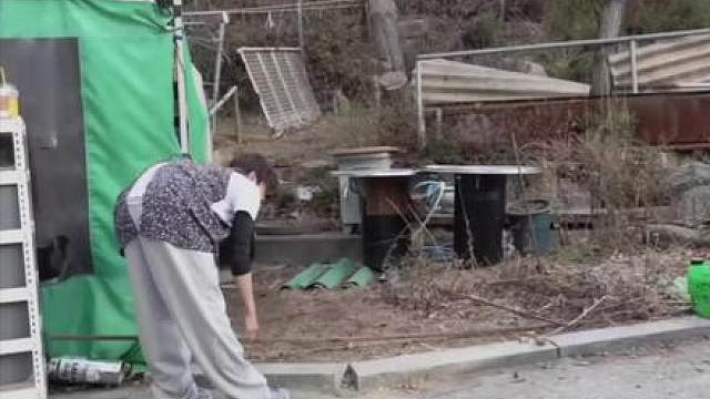 第一集看哭十亿人的故事