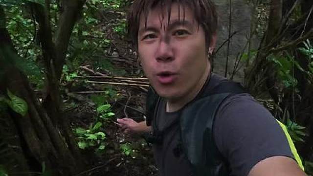 一个人极限挑战热带雨林第一集，被雨林里各种动物欺负