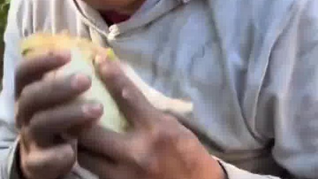 墨西哥人为什么很喜欢吃卷饼