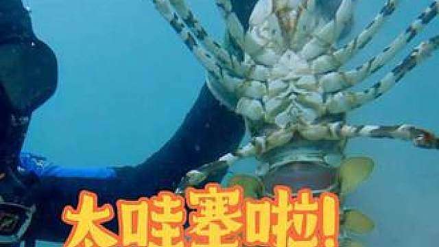 看看今天在海底赶海都能抓到啥