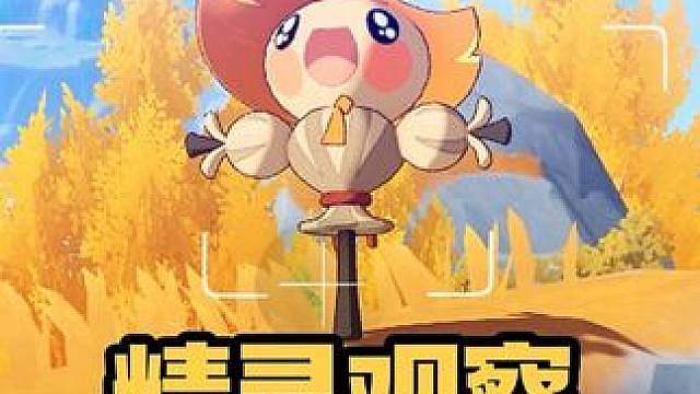 精灵生态观察：稻草人。它还是它，我们也还是我们。