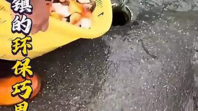 把活鱼倒进排水沟？日本小镇的环保巧思太绝了