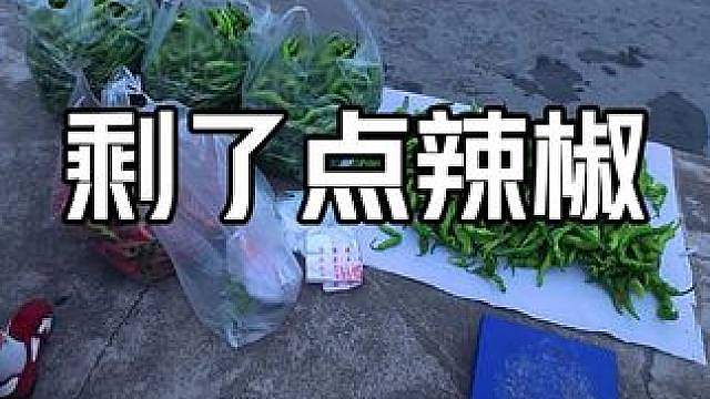 剩了点辣椒 辣椒剩了点，送一些给环卫工人。