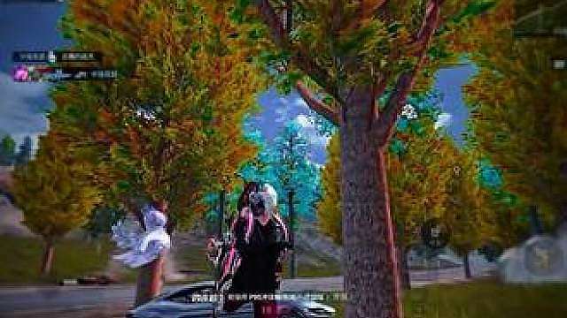 秋天里的落叶，挥手同树道别