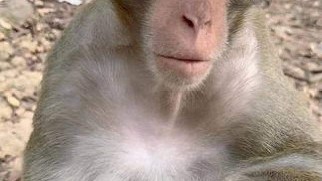 算了，紫霞还是离我远去。
