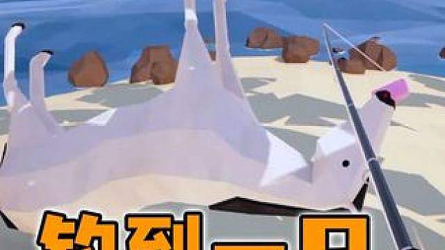 渔力全开：海里不仅有鱼！原来还有海马
