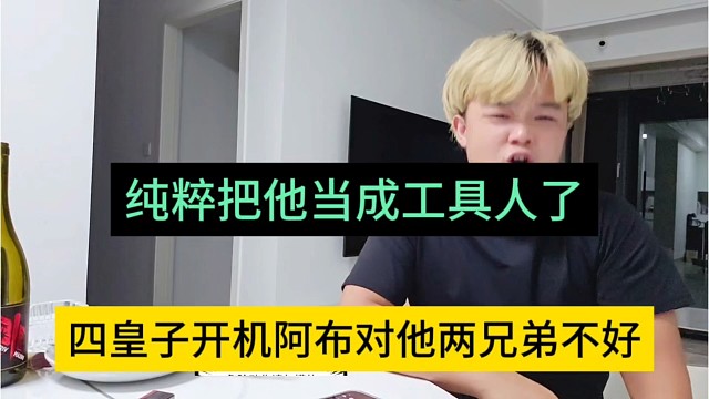 四皇子说阿布对他两兄弟不好，纯粹当工具人