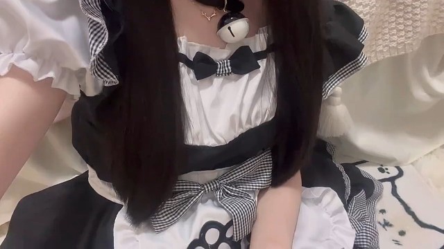 小狗狗来了