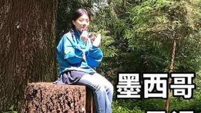 墨西哥日记