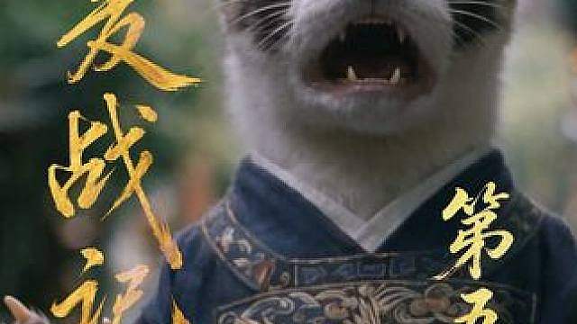 小麦战记-第五集(8) 古灵精和来得巧！你们喜欢哪个？陆七！陆远！陆盈！陈玄生！陆矶！马千户？#