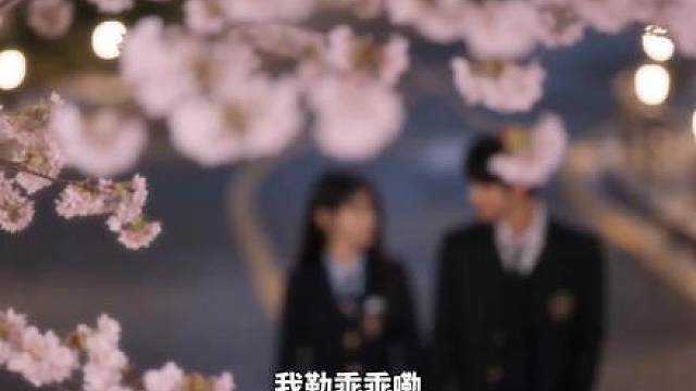 《河南少年闯首尔》河南小伙整治韩高！ 1-6合集来啦