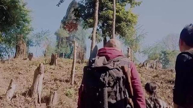 哀龙山禁地惊现流血古树，树中嵌着一口神秘玉棺，一开棺便风云突变！
