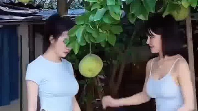 好瓜  -