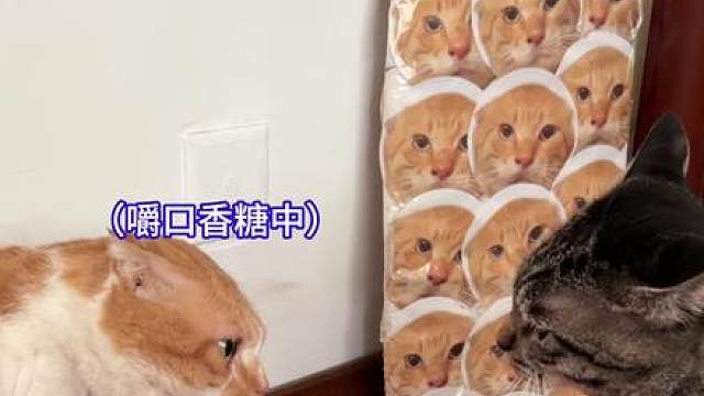 大师兄被逐出师门