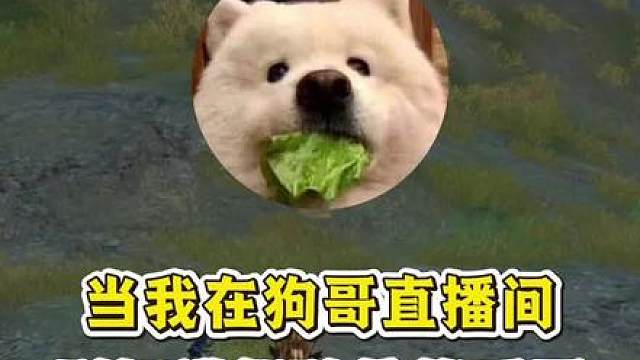 什么？驾驶位还能丢雷？