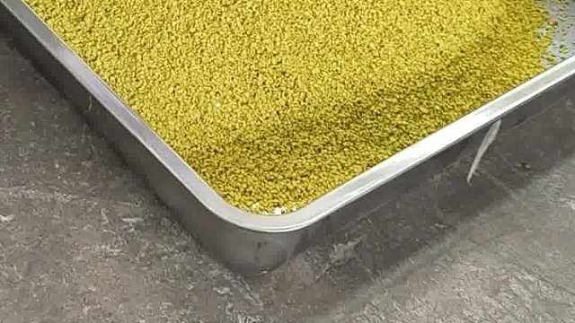 给料机生产厂家