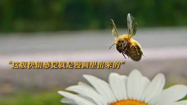 这版快银感觉就是漫画里出来的
