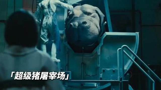万物皆有灵！