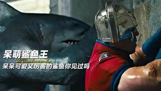 我的天 这只鲨鱼会看书！