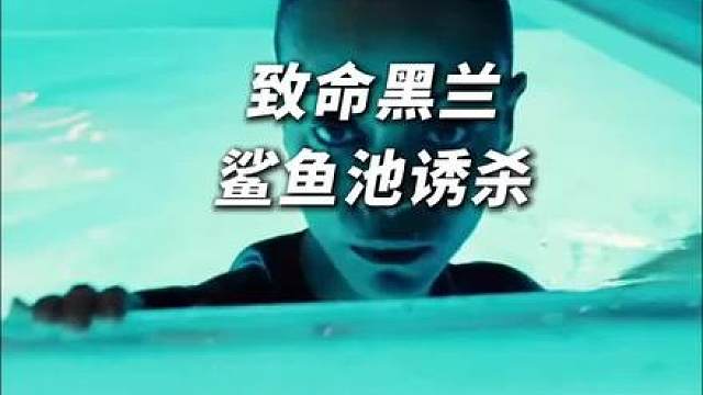 顶级杀手 鲨鱼池 诱杀富豪！