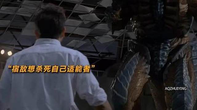 奥特曼中的唯一真男人
