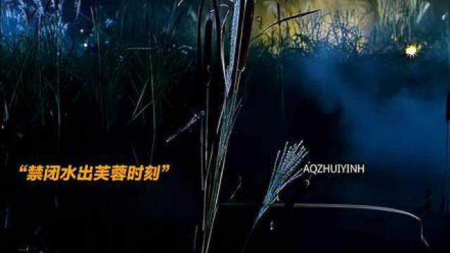最能装的变形金刚 逼格仅此阿古茹