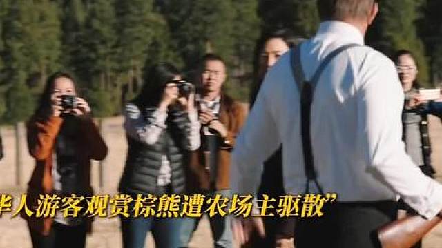 混剪