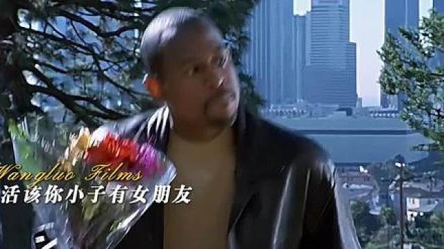 他有女朋友我是一点不羡慕！—《笨贼妙探》
