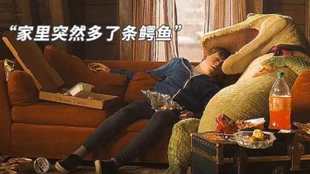 “我也想要一只同款鳄鱼！”