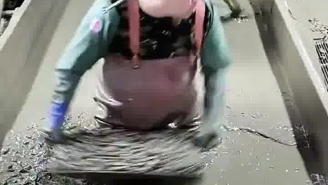 花甲真得那么脏吗  -