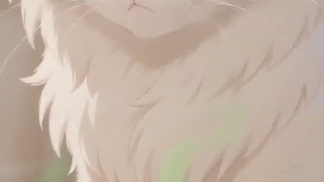 配料看到以下全是毒猫粮千万别买