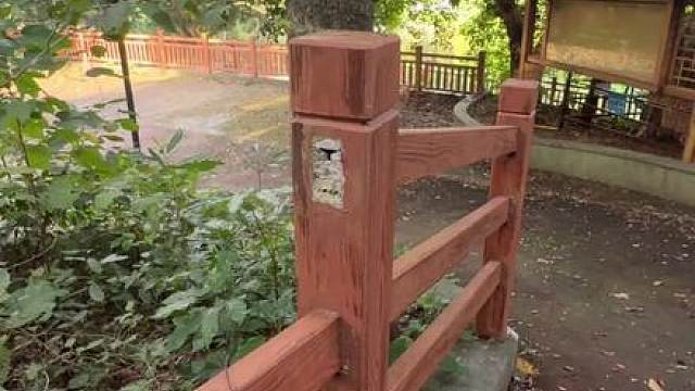 猫：人、你和空心菜一样，没有心！！