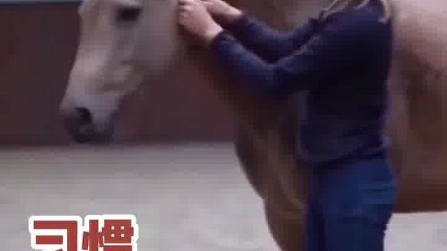 习惯会变成无形的缰绳  -