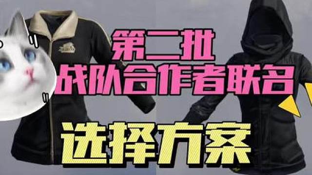 第二批战队合作者联名即将上线的选择方案