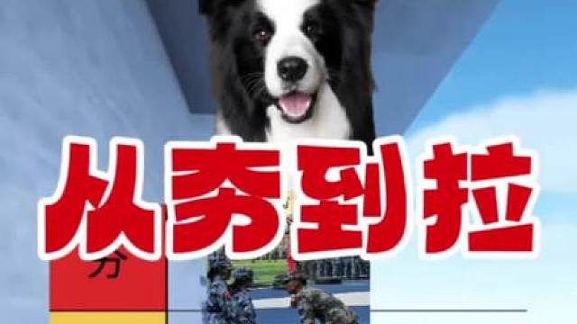 边牧哥盘点并锐评某些教官的奇葩迷惑行为，并未其排名从夯到拉，没提到的行为欢迎大家评论区补充